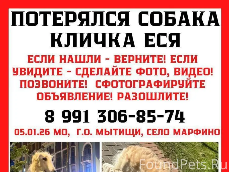 Пропала собака 5 января в селе...