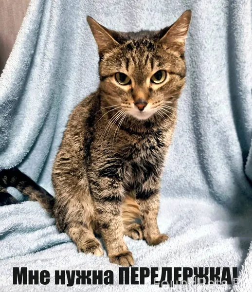 Требуется ПЕРЕДЕРЖКА маленькой...