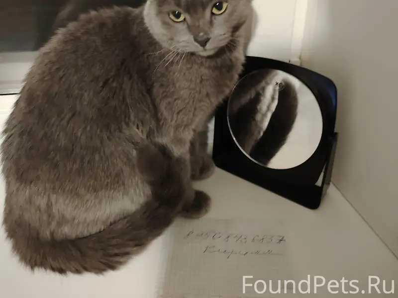 Здравствуйте на Сергея лазо 1/...