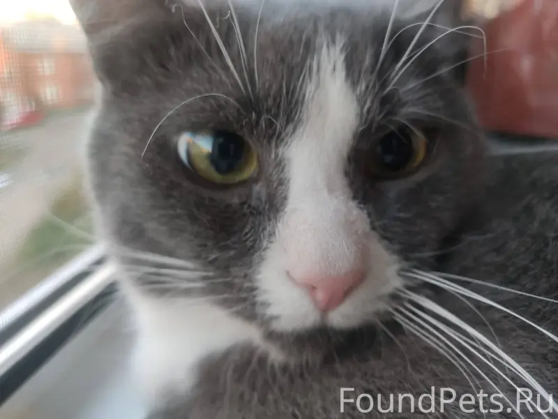 ПОИСК https://vk.ru/id39492255...