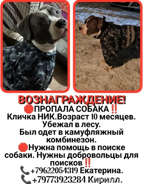 🆘🆘🆘🆘🆘🆘🆘🆘🆘🆘🆘🆘🆘🆘Многие уже наслы...