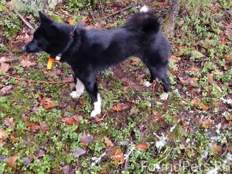 Здравствуйте! Вчера в районе Я...