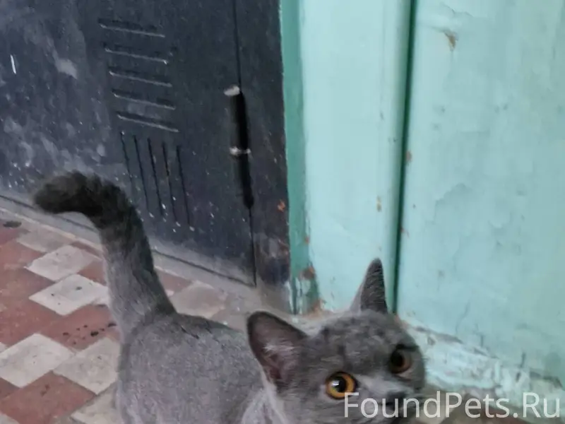 7 января 2026 Найдена молодая ...