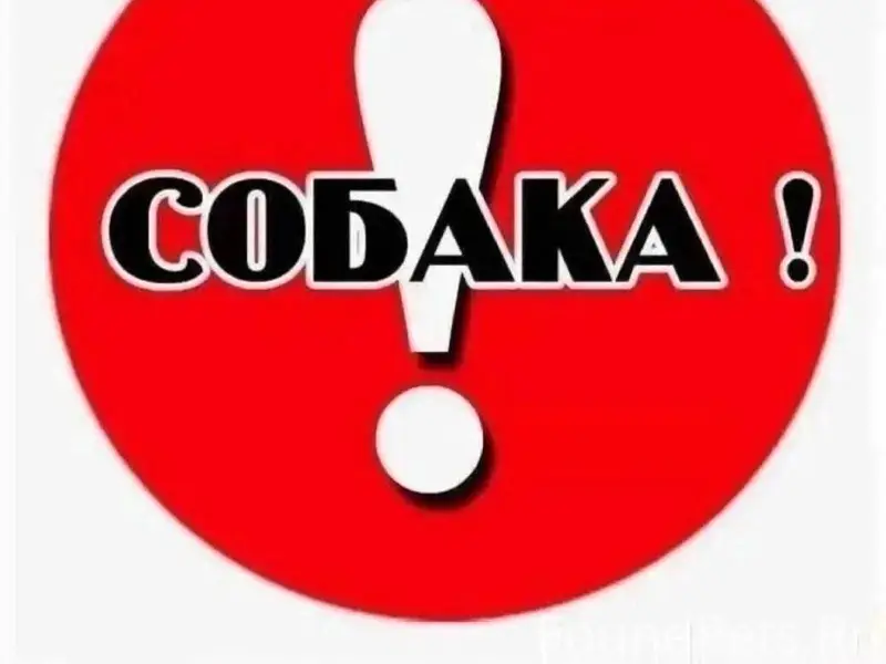 В районе швейной фабрики пропа...