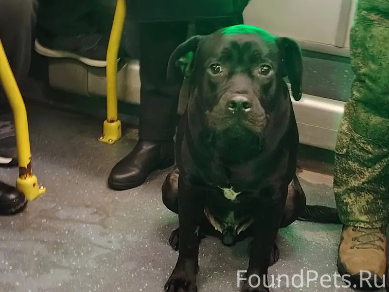 Кашира! 05.01.26 в 6...