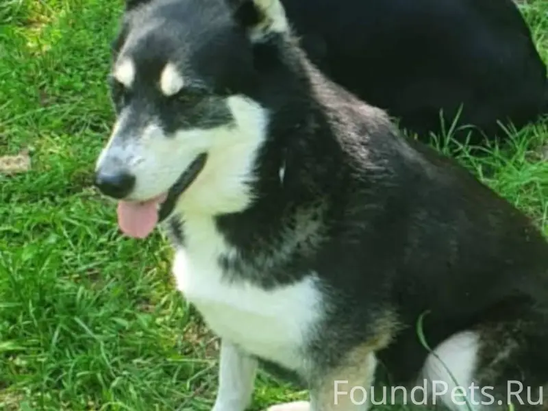 Воскресенск. Красный строитель...