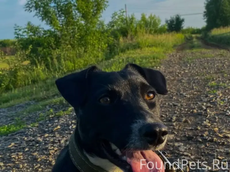Пожалуйста, выложите пост! Про...