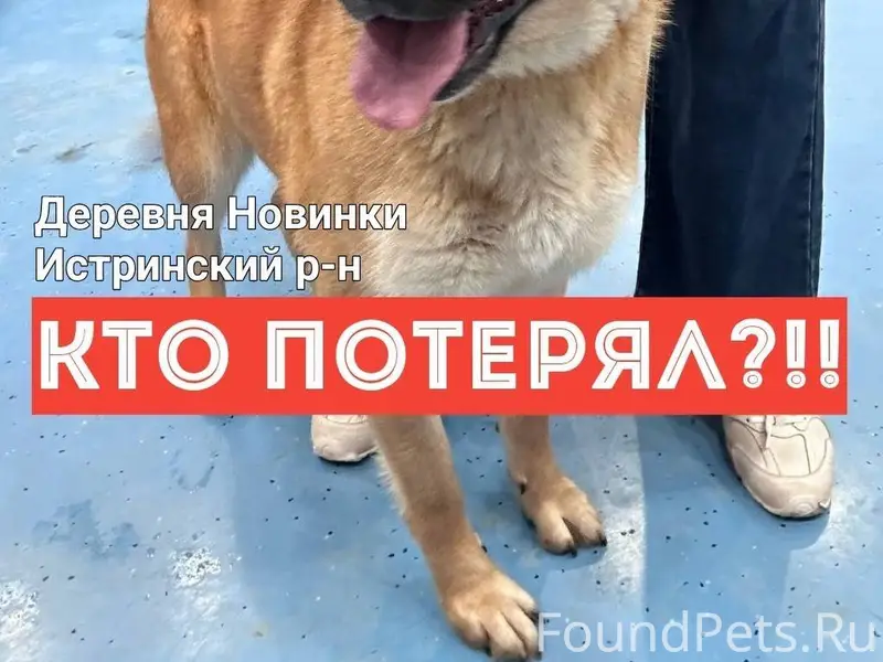 Добрый День! с Праздником! 🔴СР...