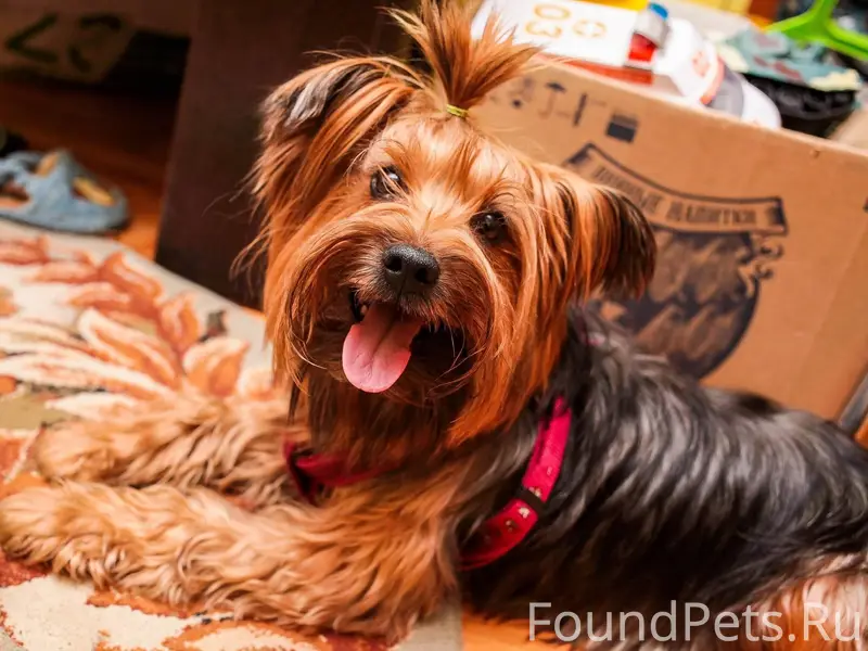 Прошу помочь в поиске! ❗❗❗❗❗❗❗...