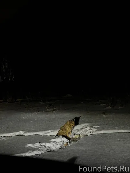 🆘🆘🆘🆘🆘 Уважаемые, добрые люди. ...