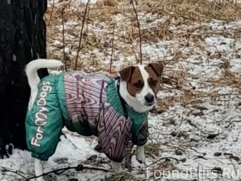 Сегодня 08.01 около 15 часов.....