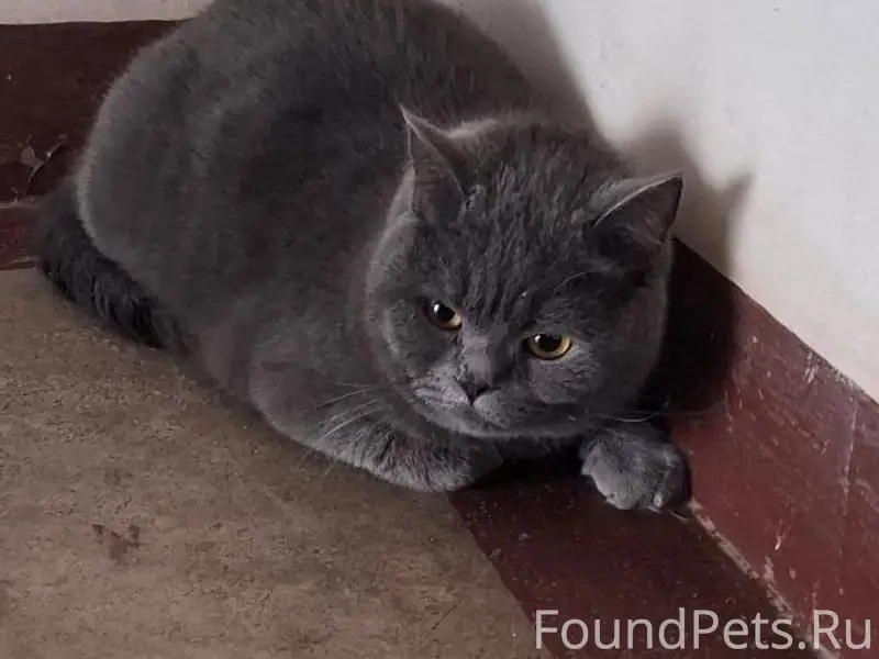 ‼️❗️ПРОШУ МАКСИМАЛЬНОГО РЕПОСТ...