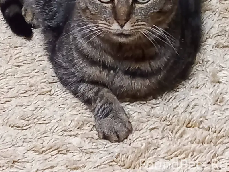 ‼️ ВНИМАНИЕ! ПРОШУ ПОМОЩИ!🙏 Пр...