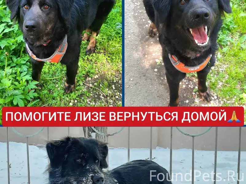 ‼️‼️‼️🆘🆘🆘🆘🆘‼️‼️‼️ 7 января в 1...