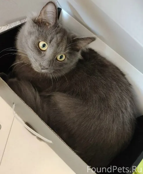 Сыктывкар, район Скалы Пропал ...