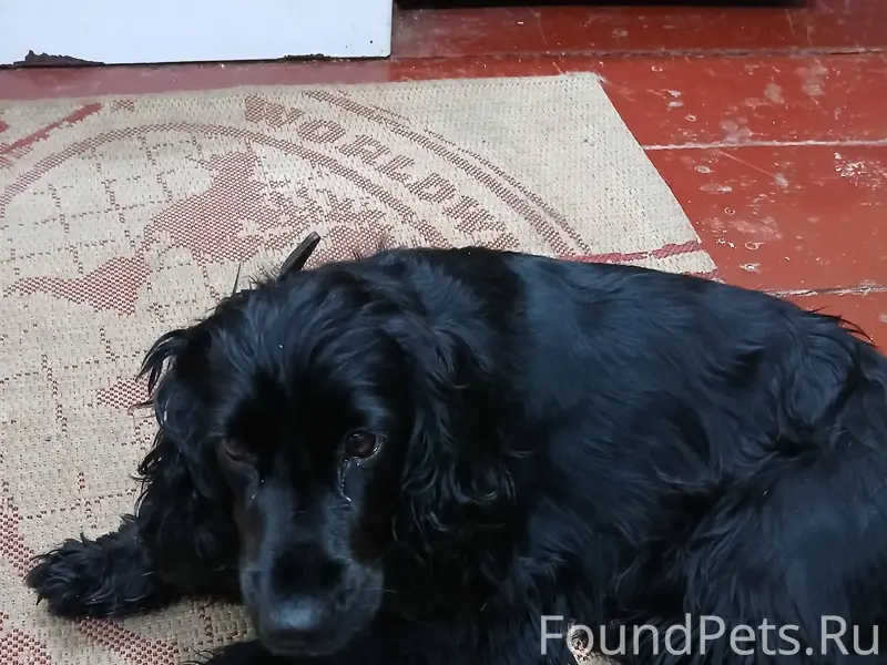 6.01.26 в г.Лиски...