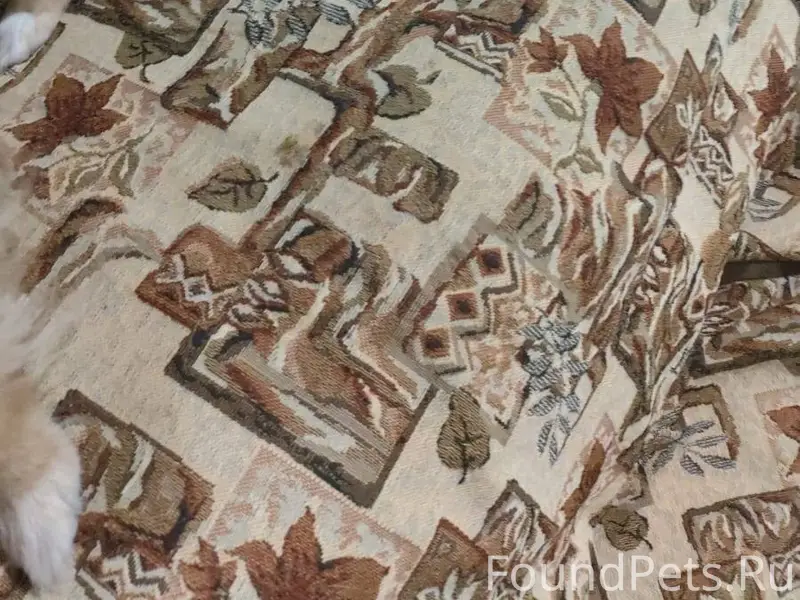 Срочно!!!!!! Помогите найти!!!...