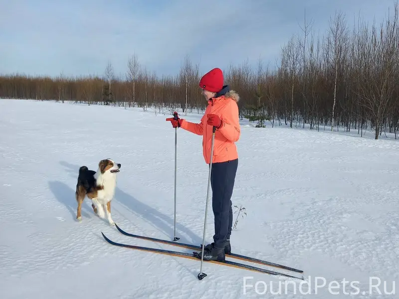 Внимание. У моей подруги 7 янв...