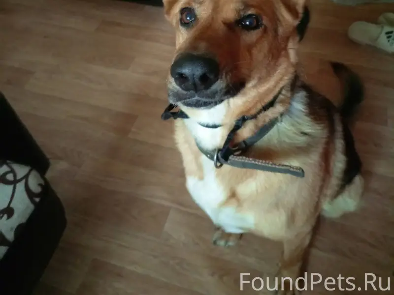 Здравствуйте! Ради бога помоги...