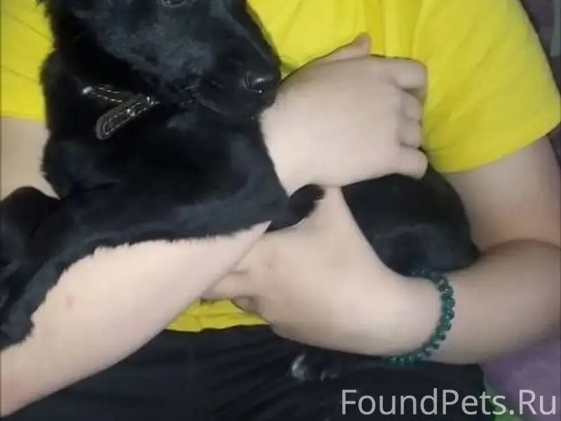 Простите что не в тему, но...