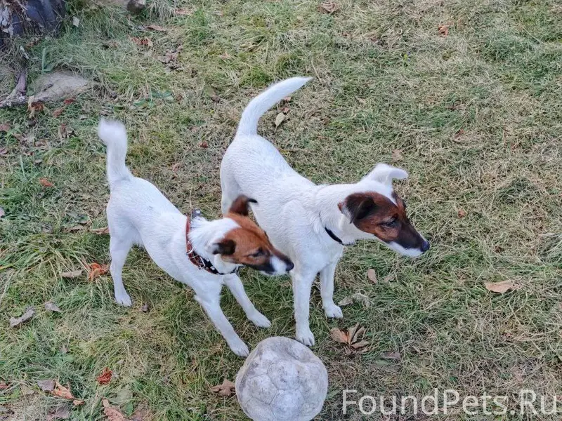 Сегодня, 08.01.2026, Чт, приме...