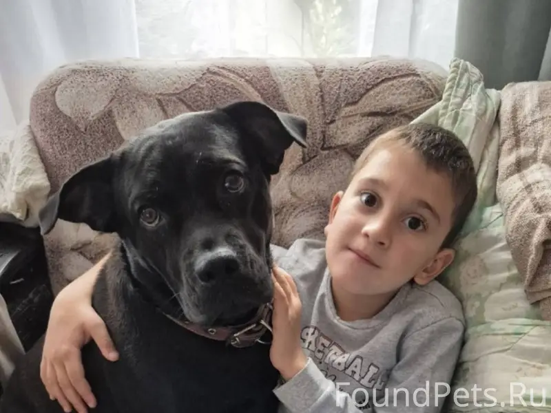 Друзья, очень нужна Ваша помощ...