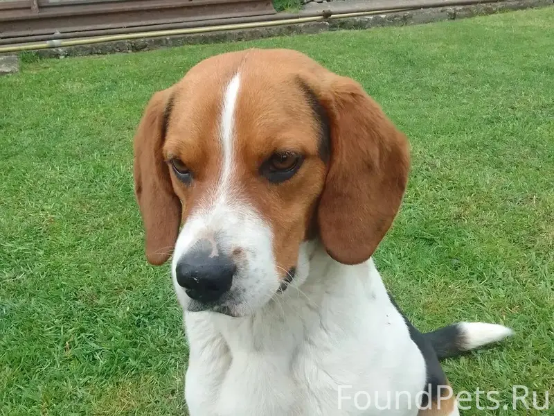 В районе ул. Мостовой, 31.12.....