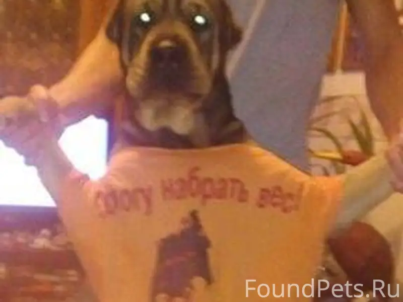 Друзья, в Приморско-Ахтарске п...