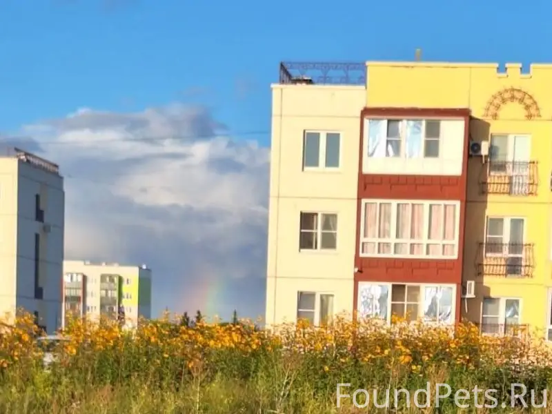 🆘🆘🆘🆘🆘🆘🆘🆘🆘🆘🆘🆘Здравствуйте! Помо...