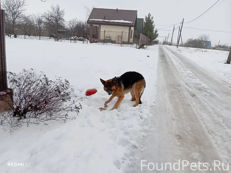 За Новой Деревней в СНТ "Федде...