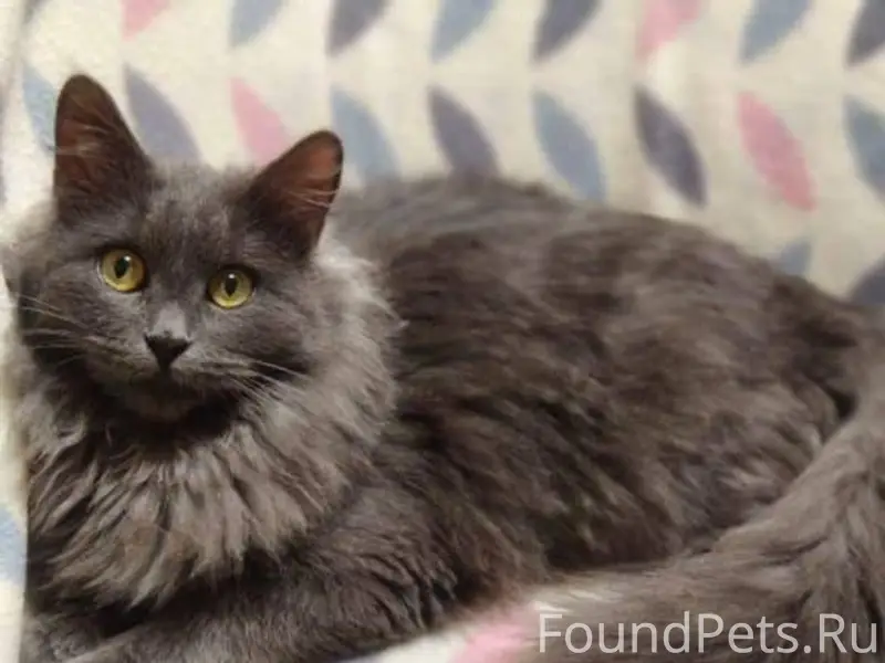 ❗ВНИМАНИЕ! ПОМОГИТЕ В ПОИСКЕ!📢...