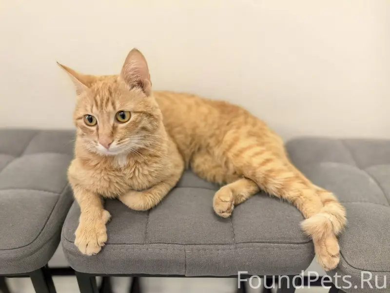 Срочно! 30 декабря в районе Во...