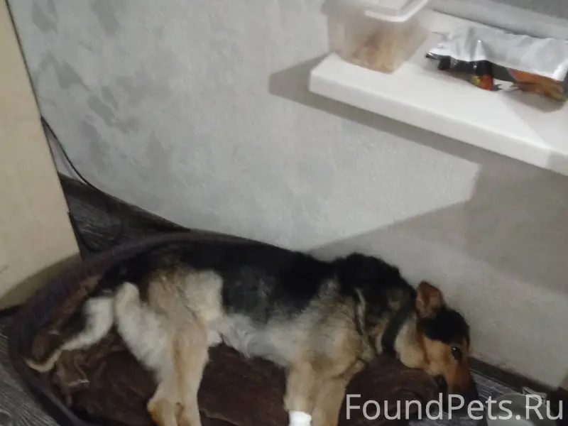 Здравствуйте Лошница !Вчера сб...