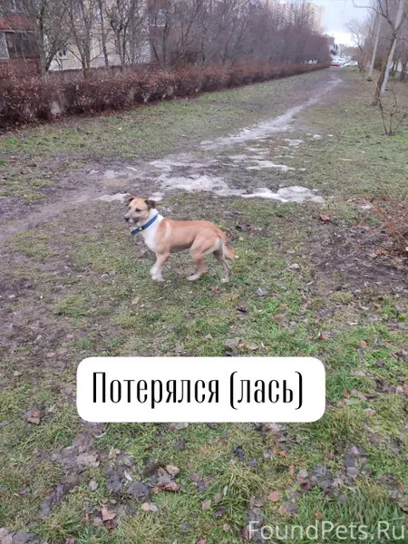 Ставрополь, ул. Пирогова Возмо...