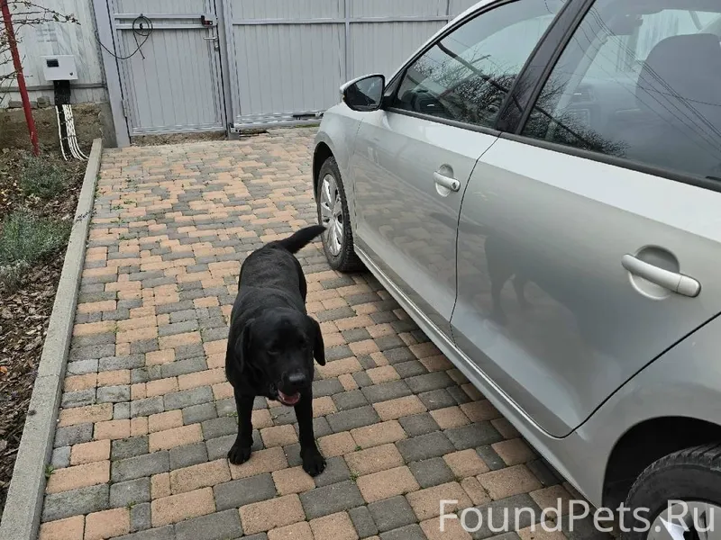 Ст. Незлобная, ул. Лесная. Про...