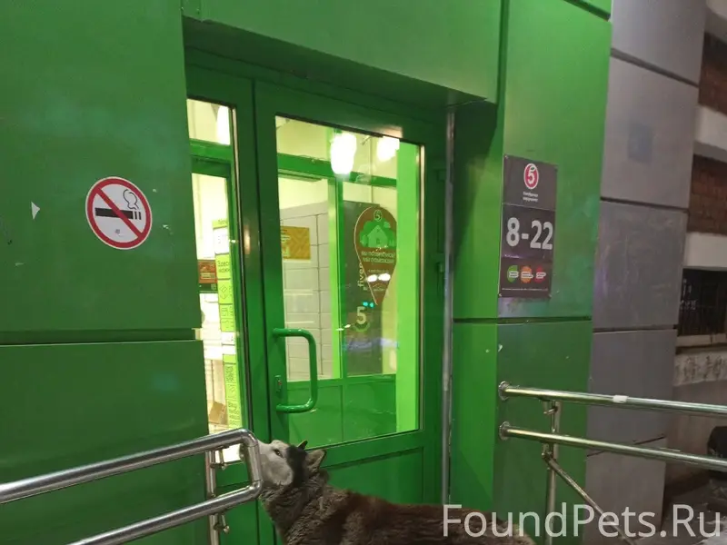 Люди срочно кто ни будь отклик...