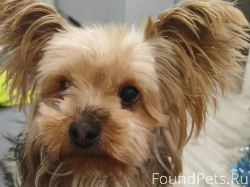 СРОЧНО!! В Старом Каменске, в ...