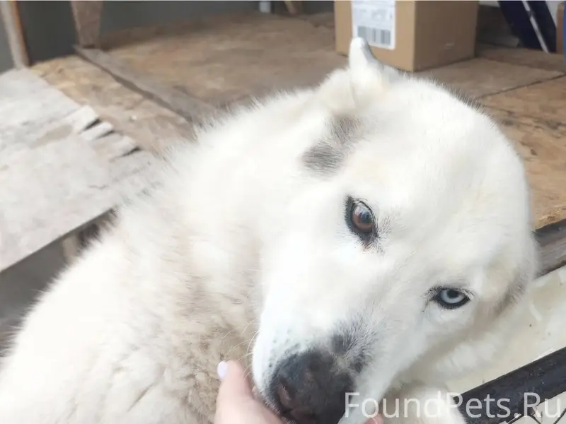 Помогаем информационно ! Пропа...