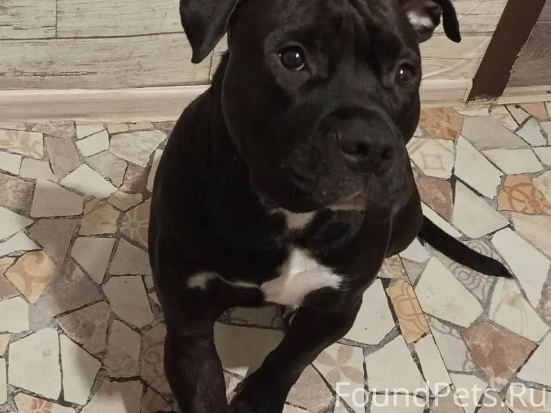 ❗️❗️❗️❗️❗️❗️Прошу разослать ин...