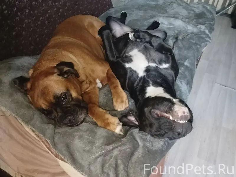 Если кто-то сейчас гуляет в...