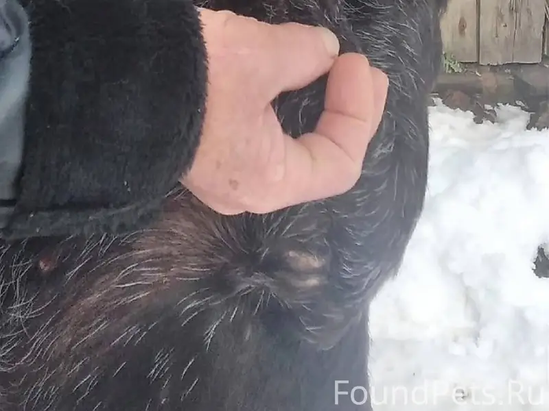 ♦️‼️ Джек-имя этого шоколадног...