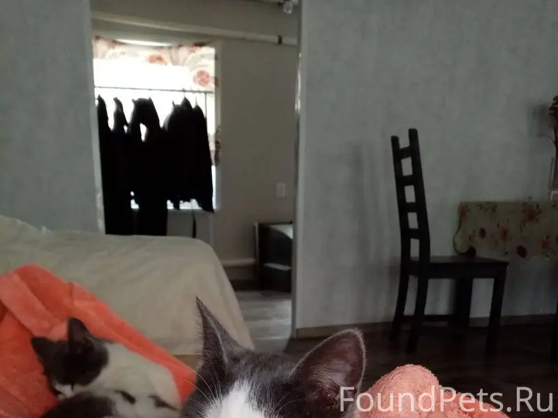 Люди добрые! Помогите вернуть ...