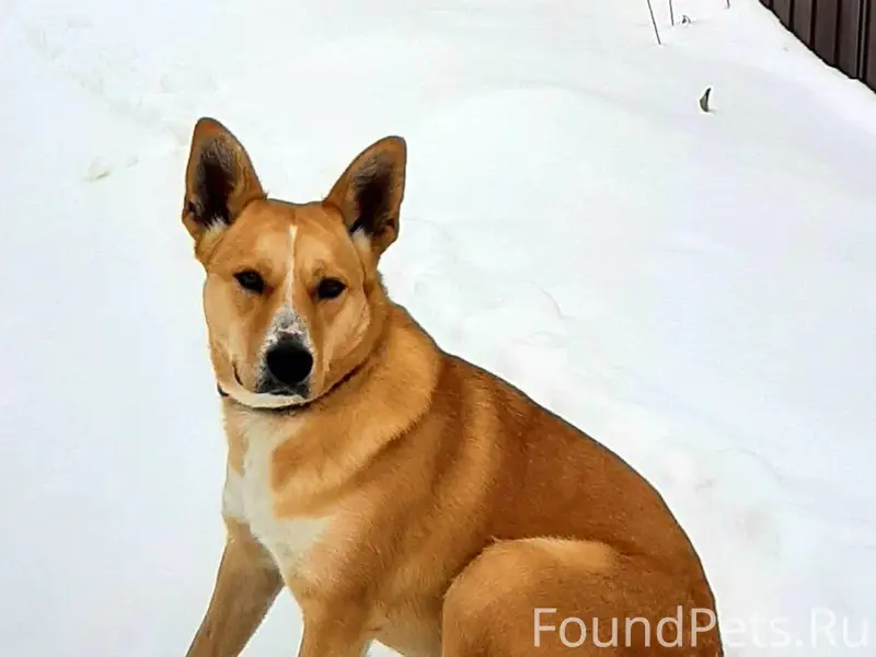 Продолжаем просить помощи в по...