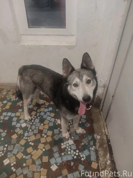 Монгора, Звёздная. Второй день...