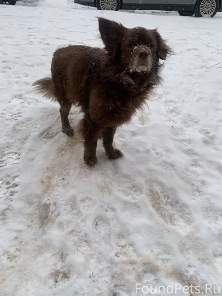 Пропал член семьи 3.01.26...