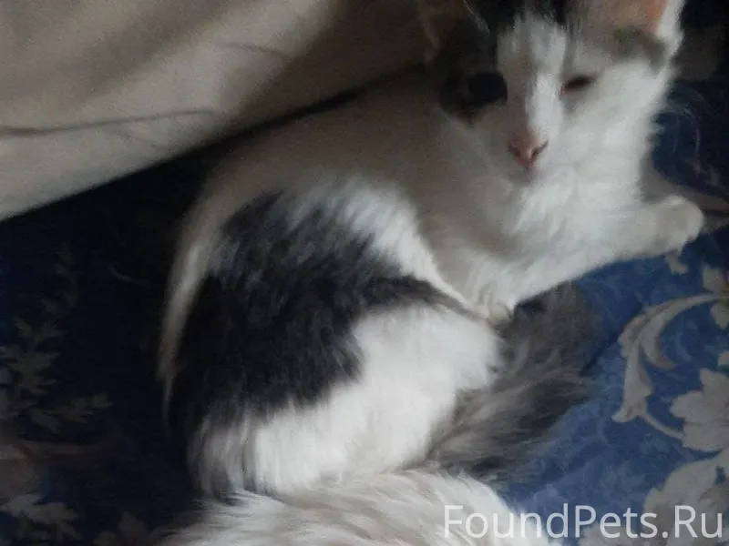 Чебоксары Ленинский район Проп...