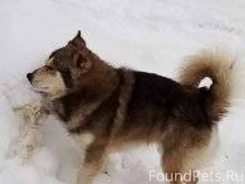 СТЕРЛИТАМАК ! === В мкр Первом...