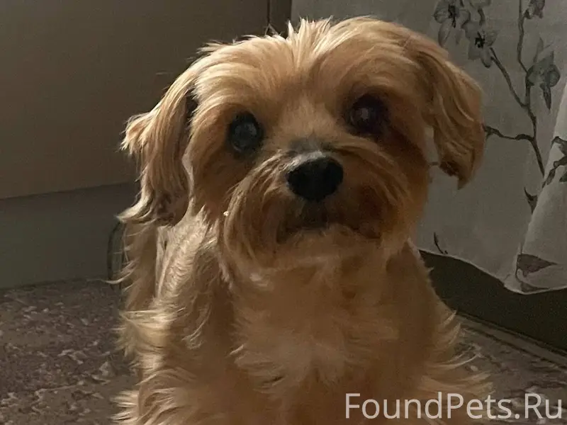 Внимание! Сергиево Посадский р...