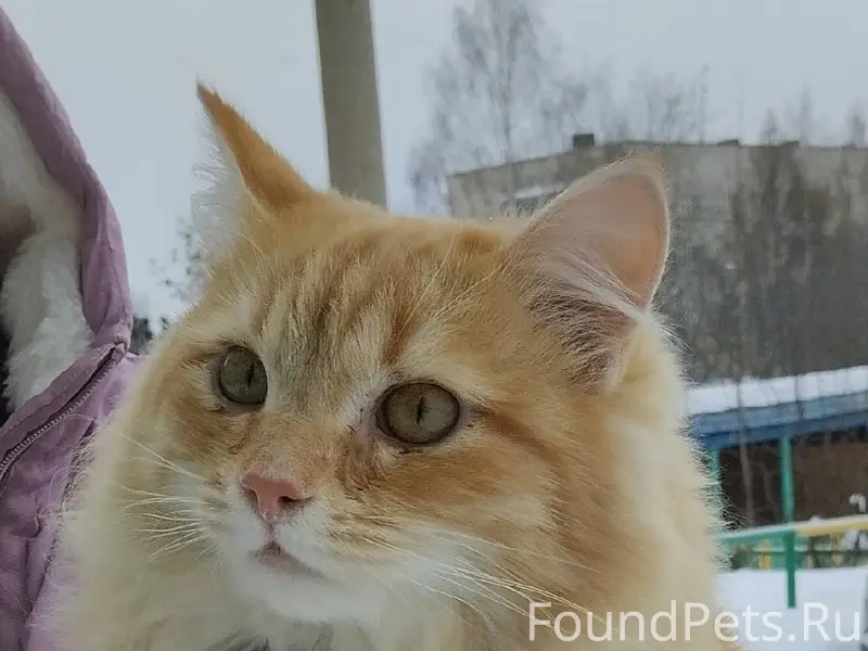 Добрый день! В подъезде ул. Ме...
