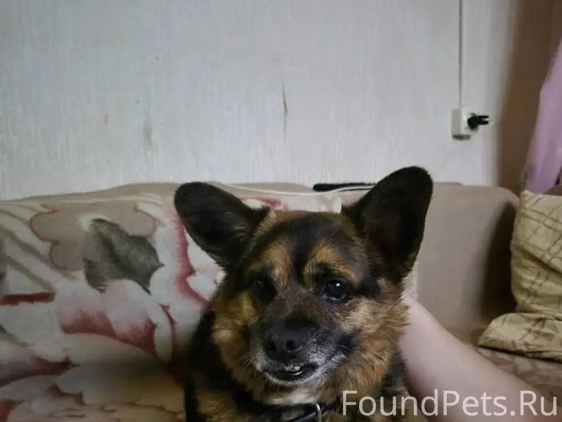 На Заводском у дома 52 появилс...